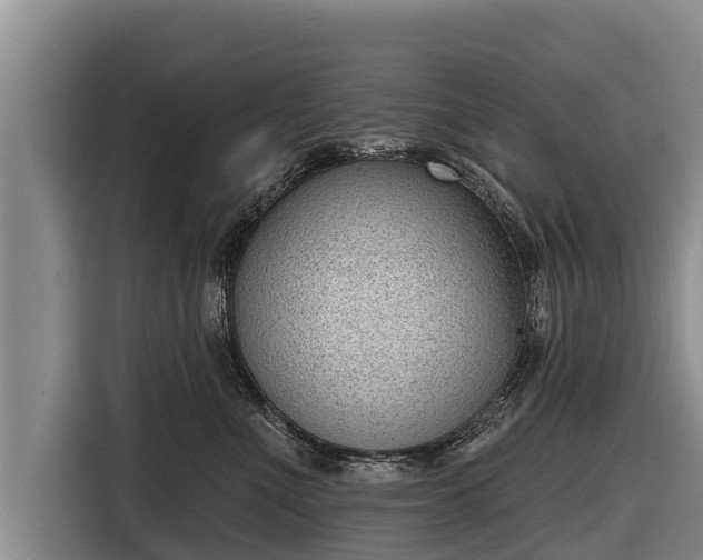 X0000116810523200912241223