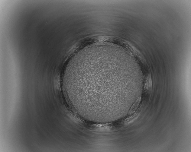 X0000116810524200912241223