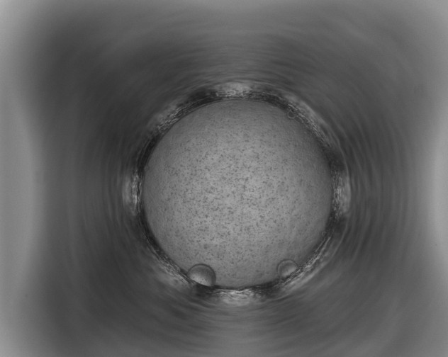 X0000116810525200912241223