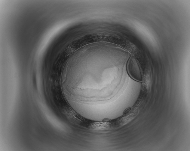 X0000116810526200912241223