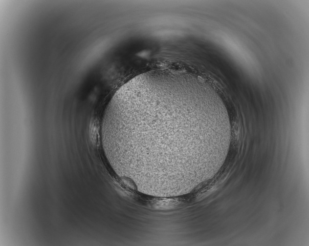 X0000116810527200912241223