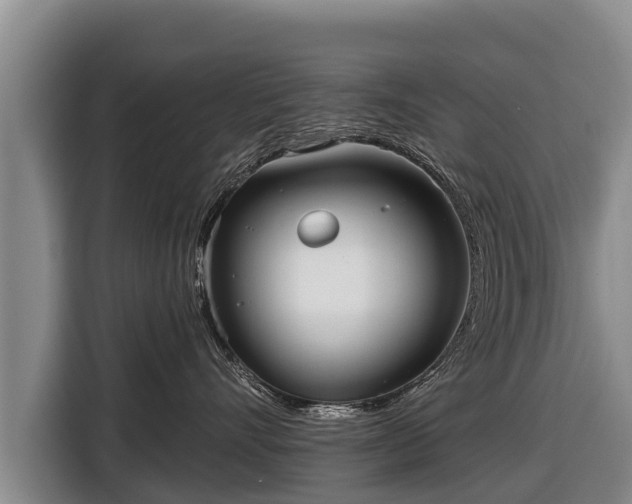 X0000116810528200912241223