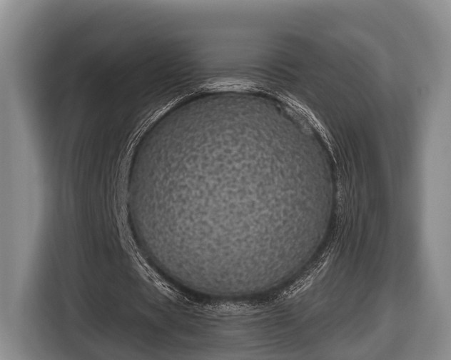 X0000116810529200912241223