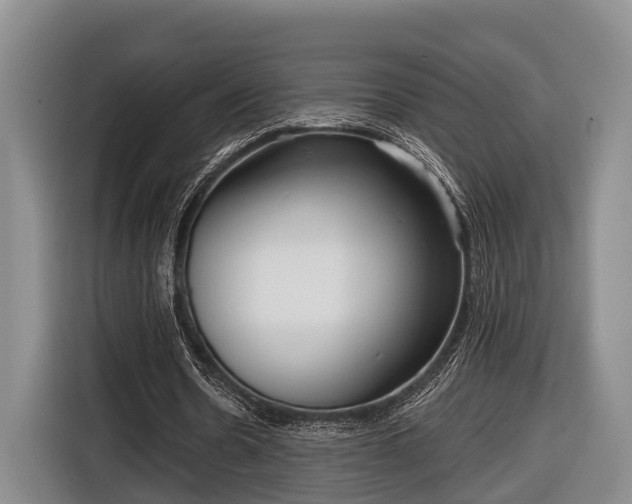 X0000116810530200912241223