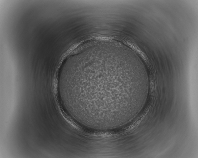 X0000116810533200912241223