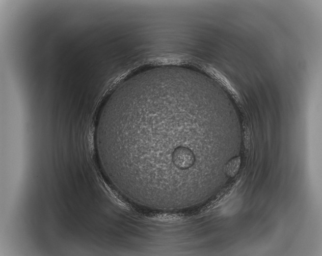 X0000116810537200912241223