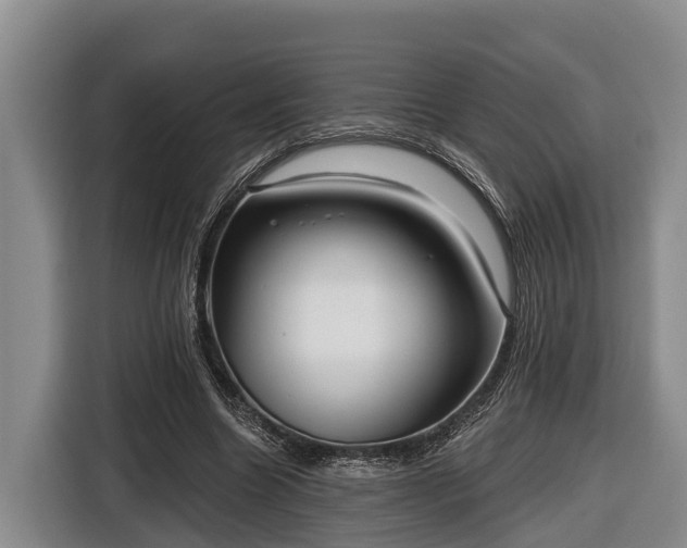 X0000116810538200912241223