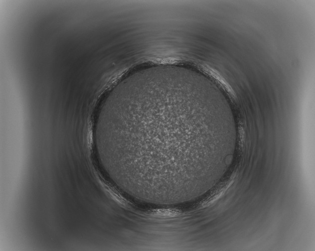 X0000116810541200912241223