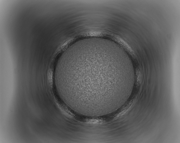 X0000116810542200912241223