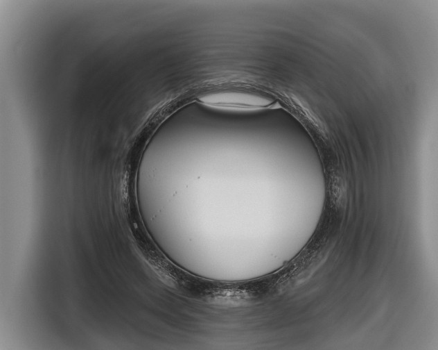 X0000116810543200912241223