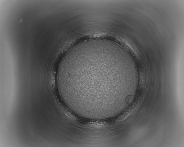 X0000116810545200912241223