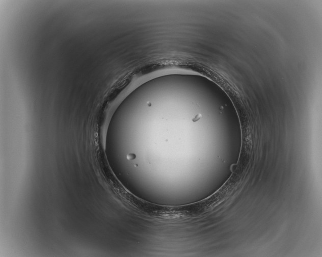 X0000116810547200912241223