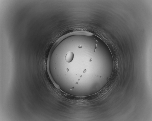 X0000116810551200912241223