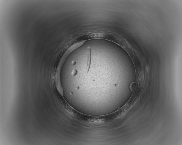 X0000116810553200912241223