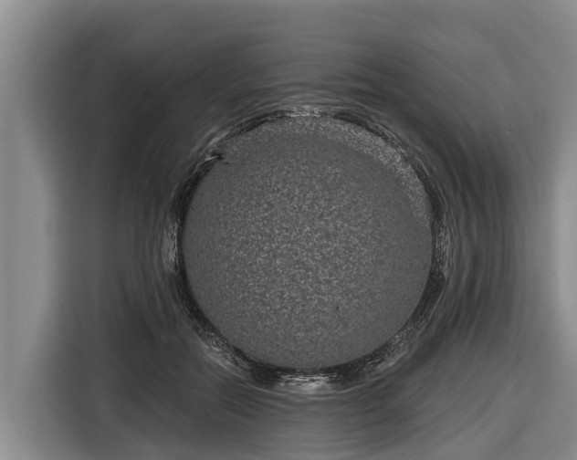 X0000116810554200912241223