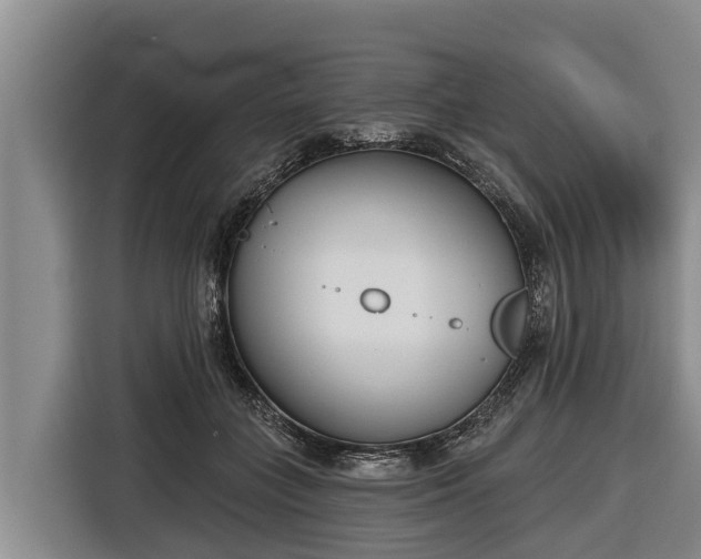 X0000116810555200912241223