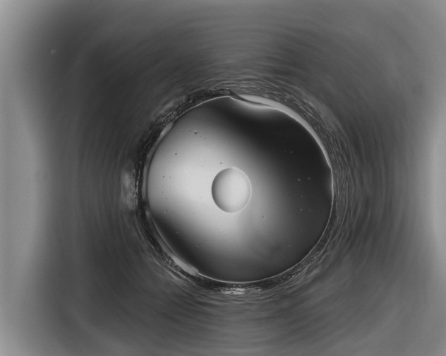 X0000116810558200912241223