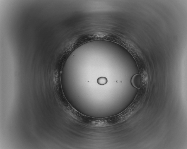 X0000116810559200912241223