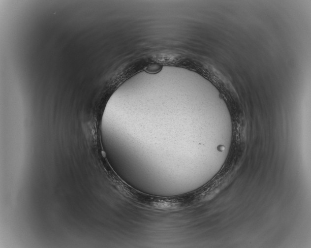 X0000116810561200912241223