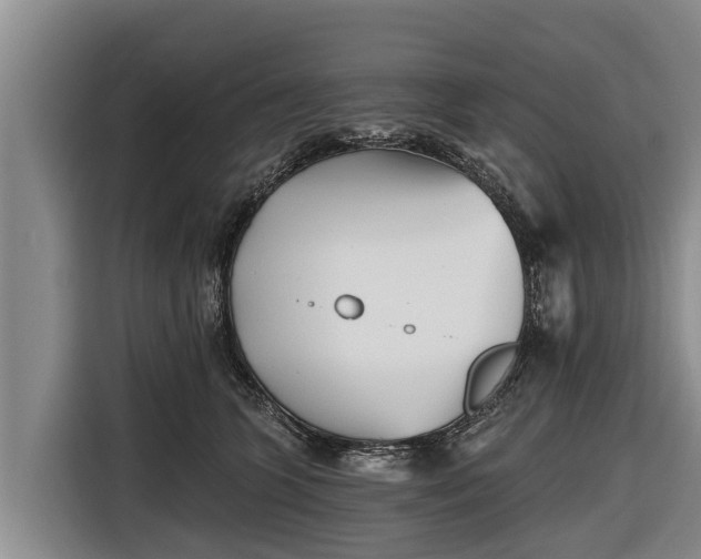 X0000116810563200912241223