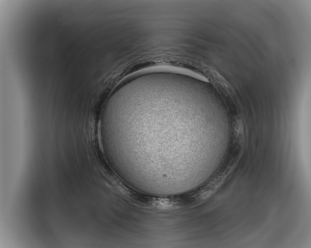 X0000116810565200912241223