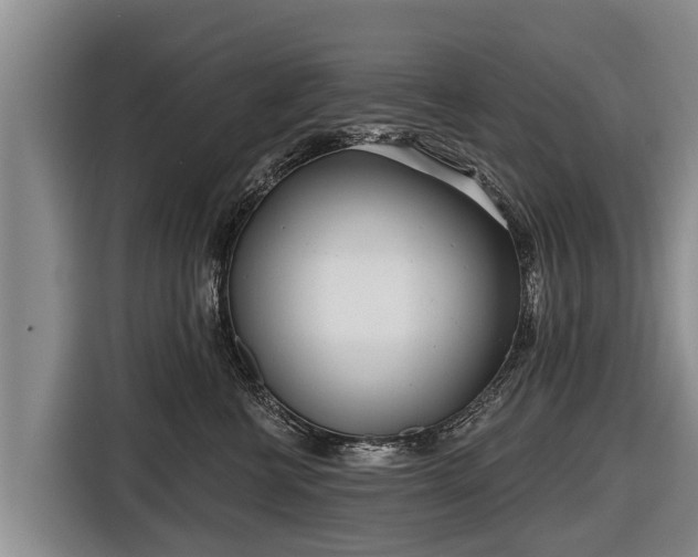 X0000116810570200912241223