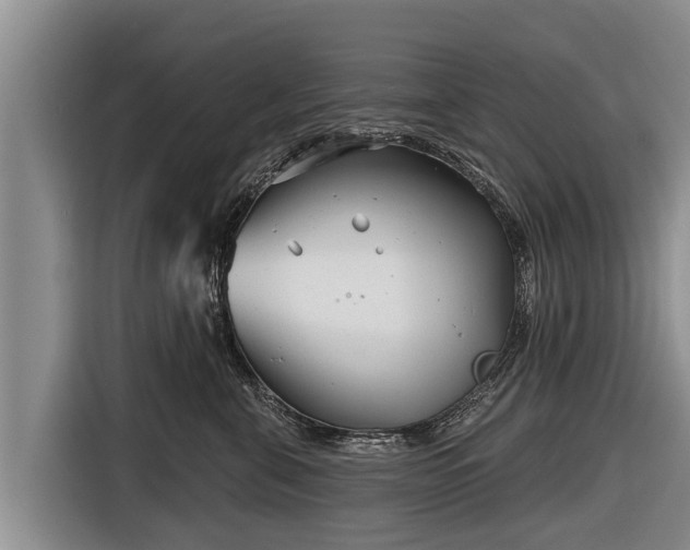 X0000116810571200912241223