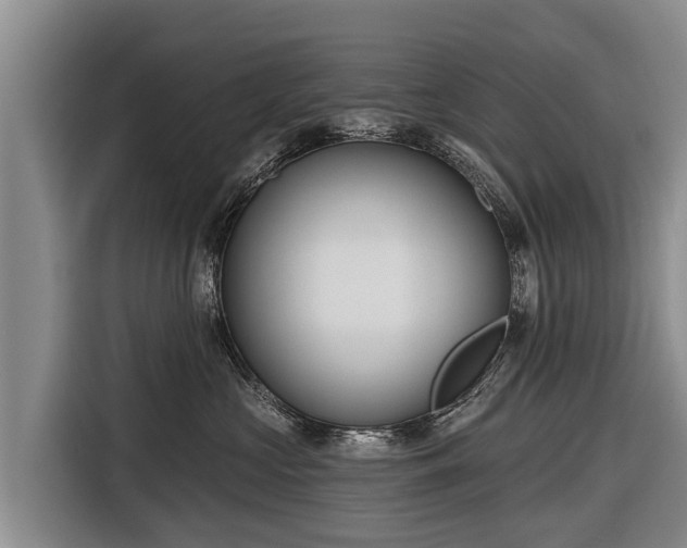 X0000116810573200912241223