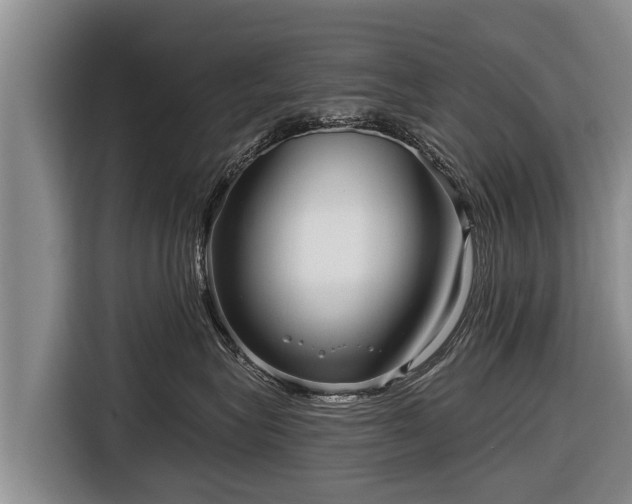 X0000116810575200912241223