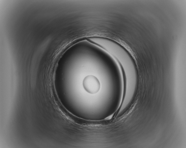 X0000116810577200912241223