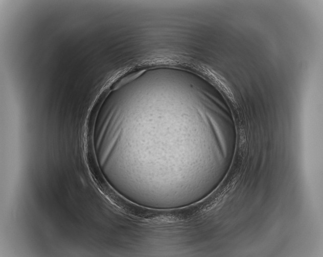 X0000116810578200912241223