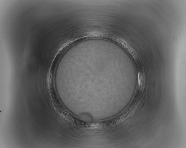 X0000116810579200912241223