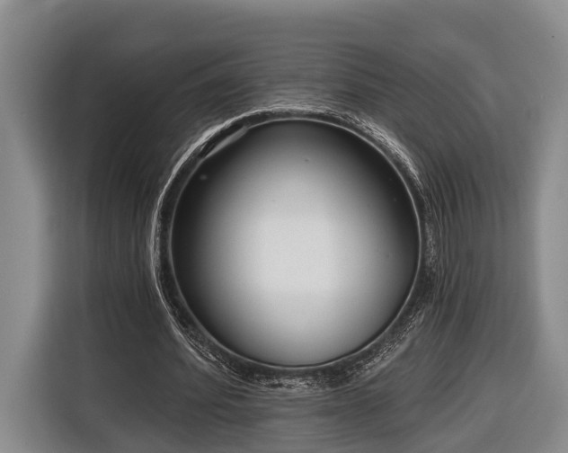 X0000116810580200912241223