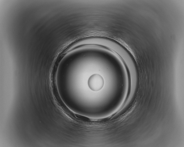 X0000116810581200912241223