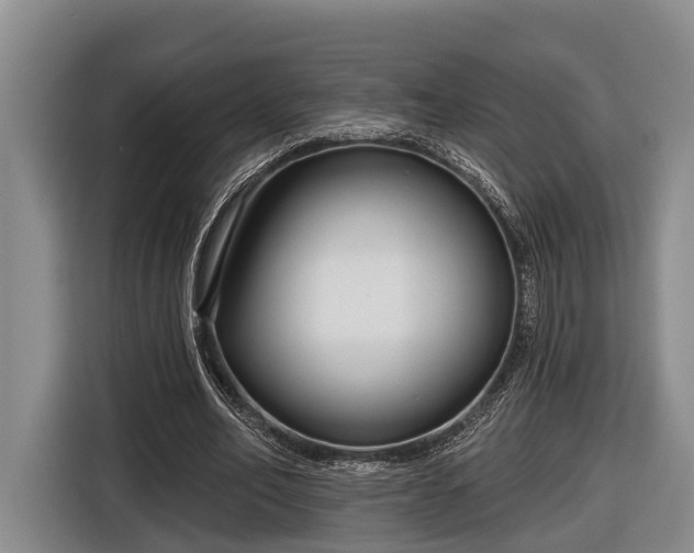 X0000116810582200912241223