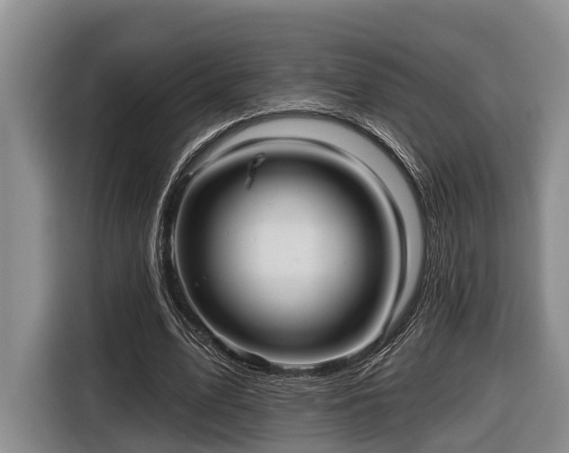 X0000116810583200912241223