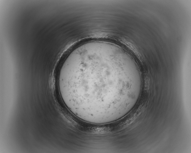 X0000116810584200912241223