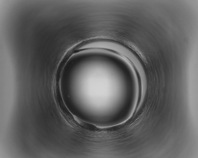 X0000116810588200912241222