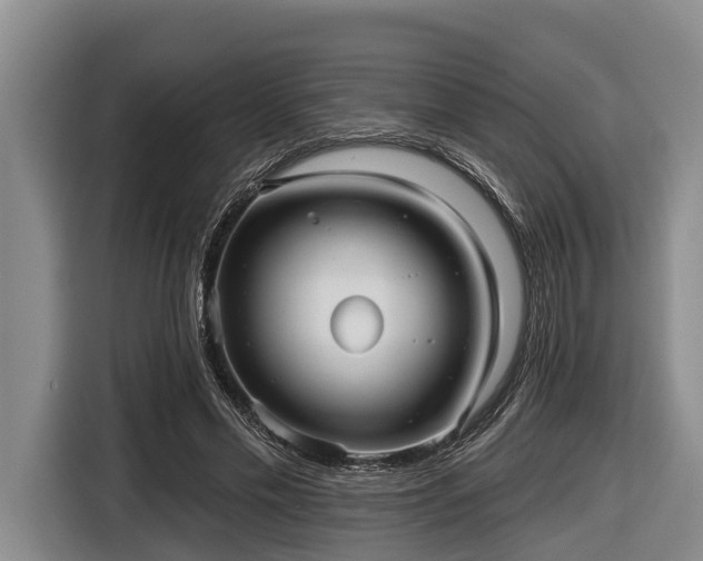 X0000116810589200912241222