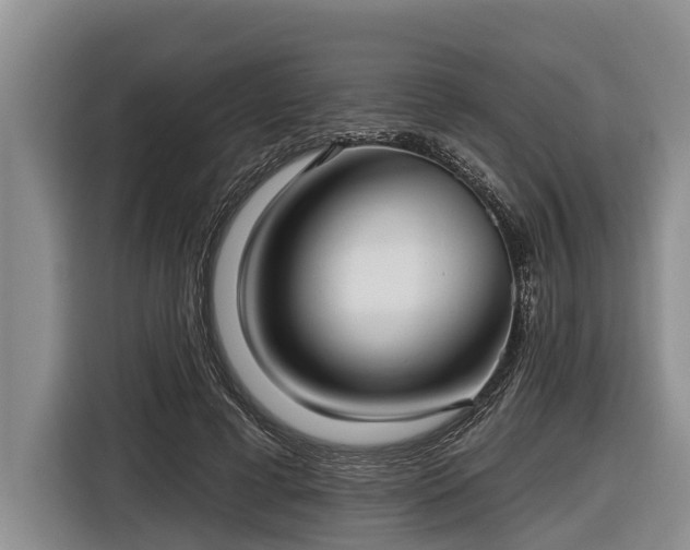 X0000116810593200912241222