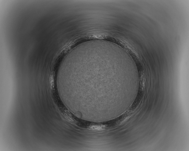 X0000116810595200912241222