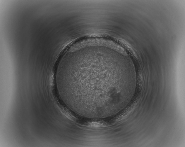 X0000116810596200912241222