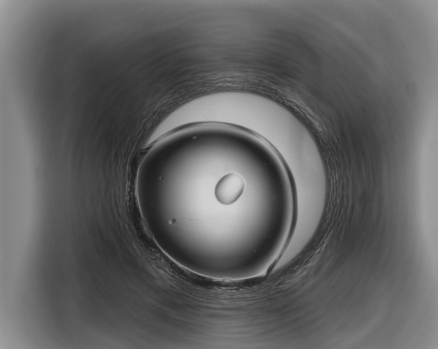 X0000116810597200912241222