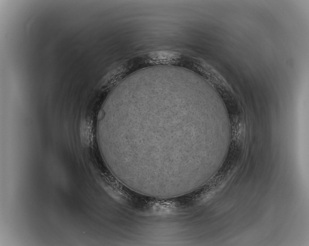 X0000116810599200912241222