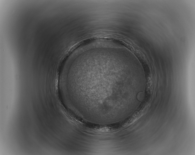 X0000116810600200912241222