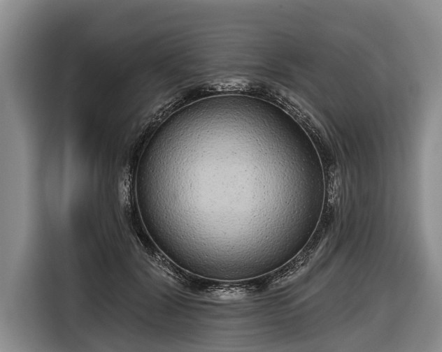 X0000116810604200912241222