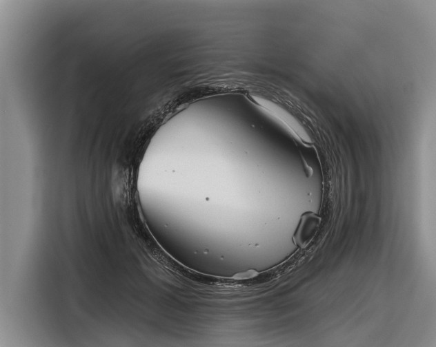 X0000116810605200912241222