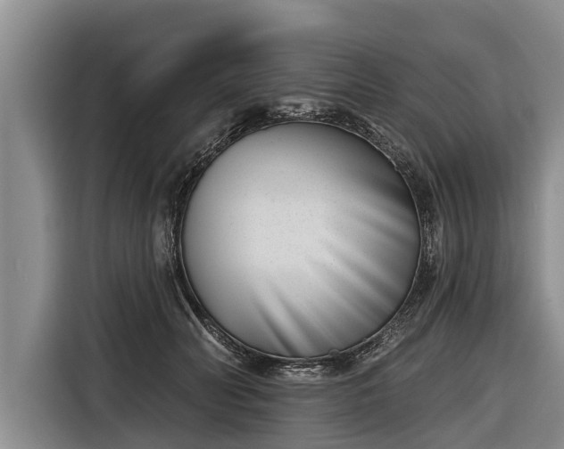 X0000116810606200912241222