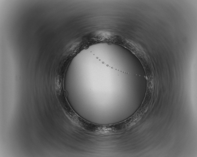 X0000116810607200912241222