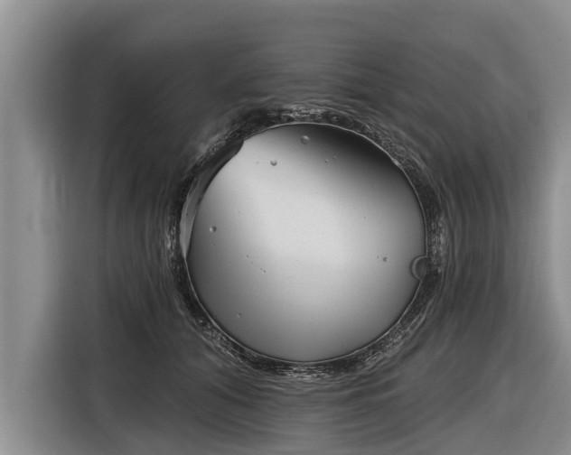 X0000116810608200912241222